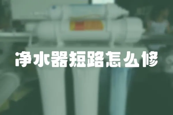 凈水器短路怎么修