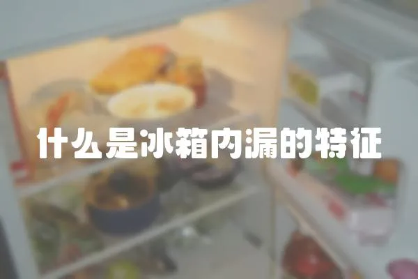 什么是冰箱內漏的特征