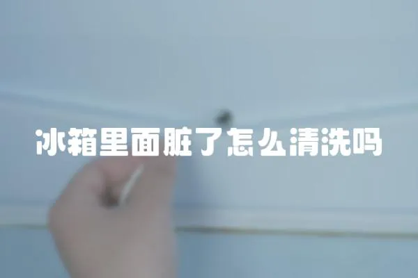 冰箱里面臟了怎么清洗嗎