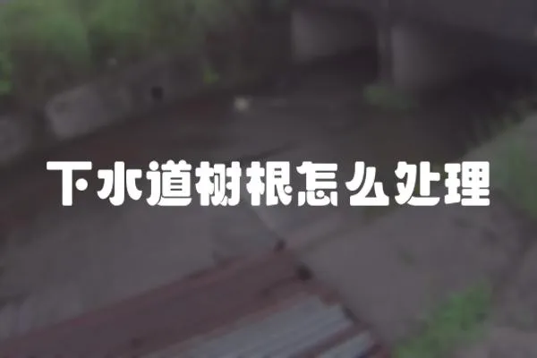 下水道樹根怎么處理
