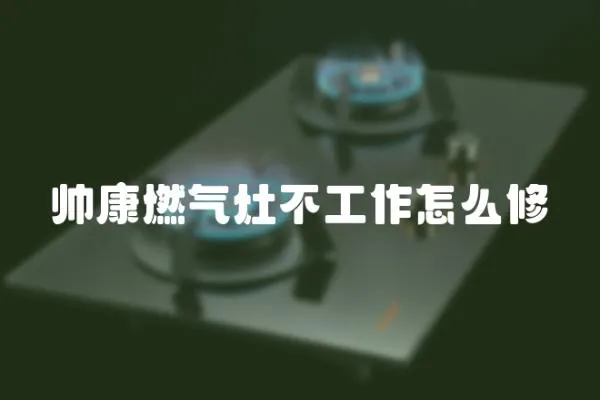 帥康燃?xì)庠畈还ぷ髟趺葱?></a></div>
                    </div>
                    <div   id=