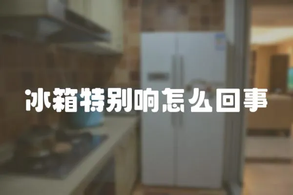 冰箱特別響怎么回事