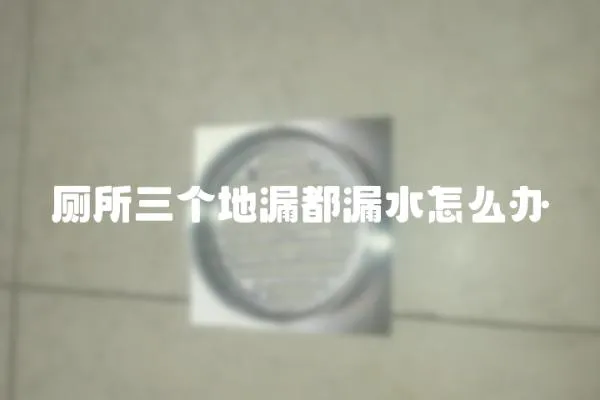 廁所三個地漏都漏水怎么辦