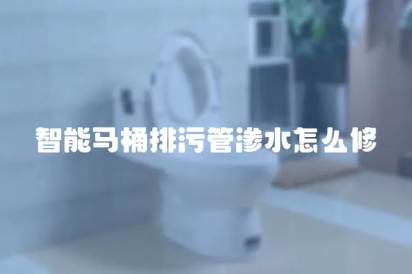 智能馬桶排污管滲水怎么修