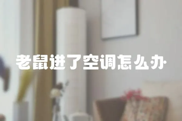 老鼠進了空調怎么辦