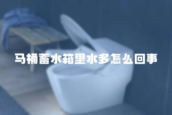 馬桶蓄水箱里水多怎么回事