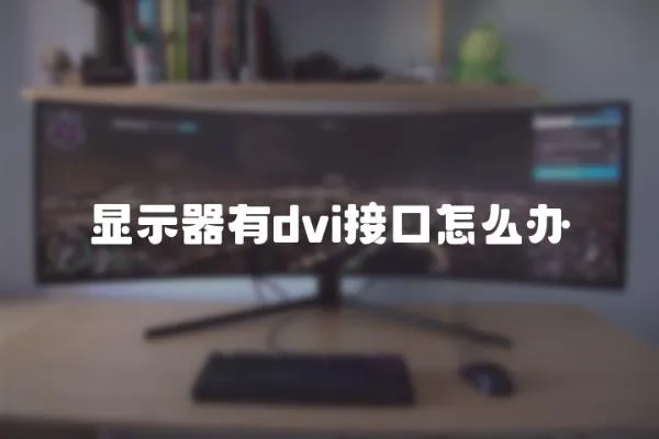 顯示器有dvi接口怎么辦