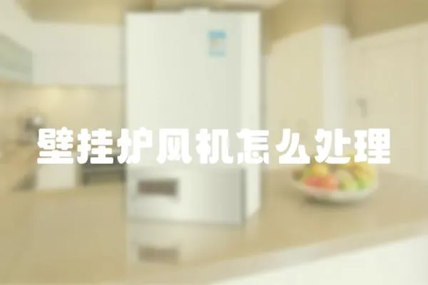 壁掛爐風機怎么處理
