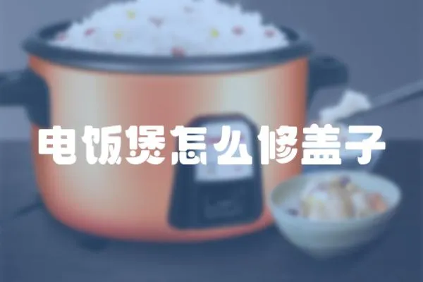 電飯煲怎么修蓋子