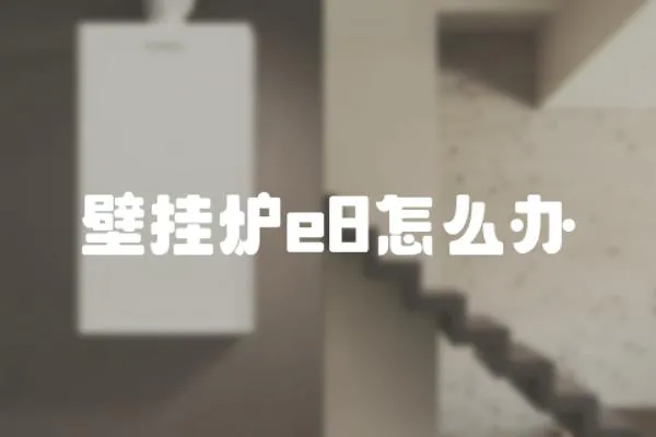 壁掛爐e8怎么辦