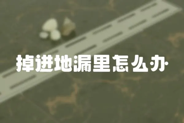 掉進地漏里怎么辦