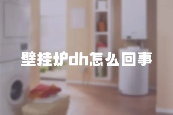 壁掛爐dh怎么回事