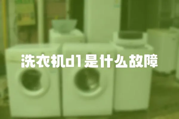 洗衣機d1是什么故障