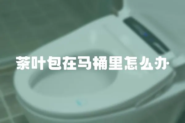 茶葉包在馬桶里怎么辦