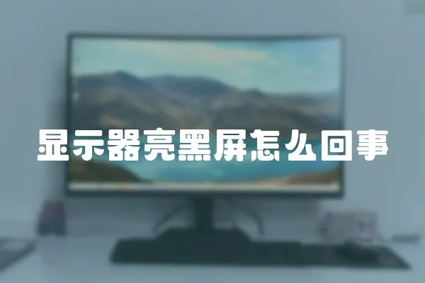 顯示器亮黑屏怎么回事