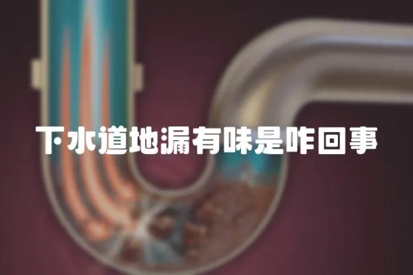 下水道地漏有味是咋回事