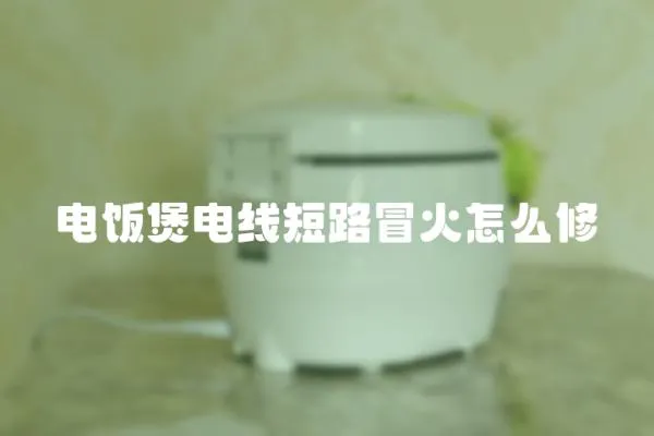 電飯煲電線短路冒火怎么修