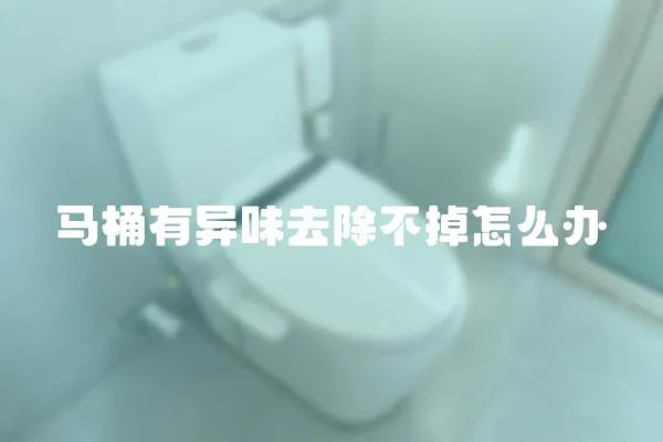 马桶有异味去除不掉怎么办