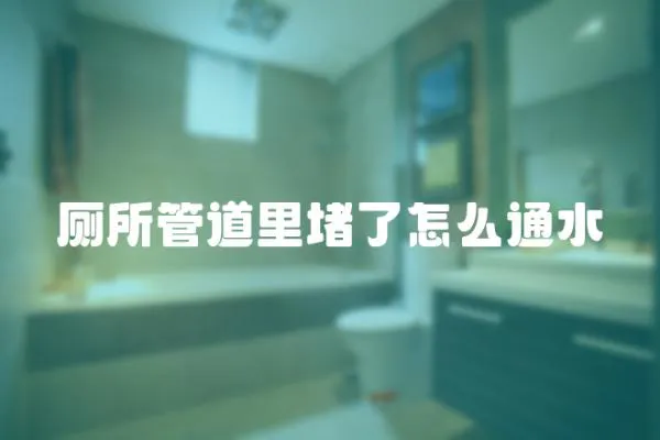 廁所管道里堵了怎么通水