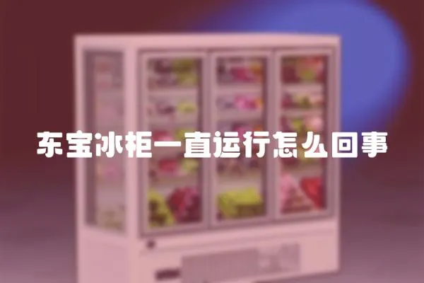 東寶冰柜一直運行怎么回事