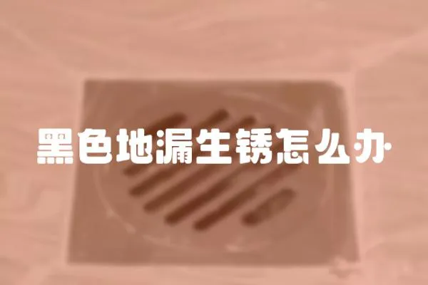 黑色地漏生銹怎么辦