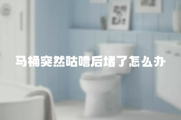 馬桶突然咕嚕后堵了怎么辦
