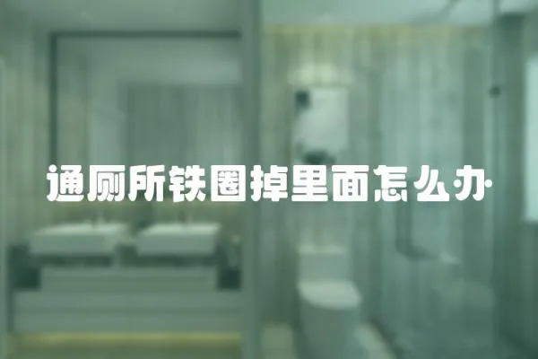 通廁所鐵圈掉里面怎么辦