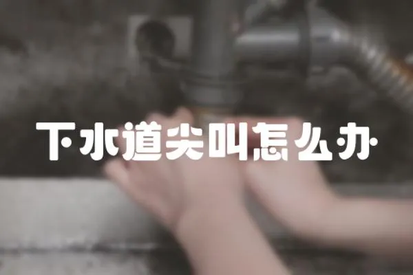 下水道尖叫怎么辦