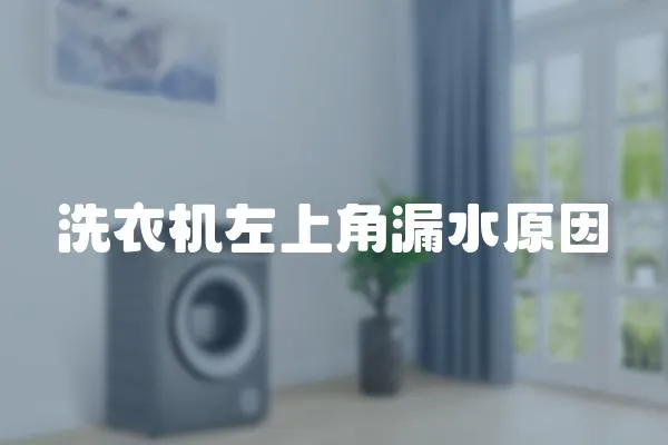 洗衣機左上角漏水原因