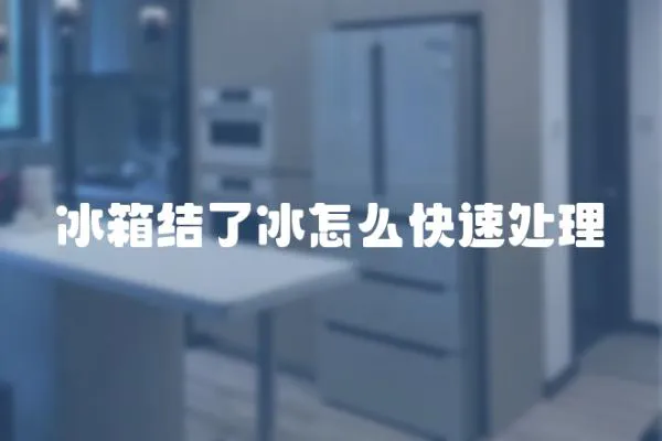 冰箱結了冰怎么快速處理