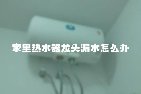 家里热水器龙头漏水怎么办