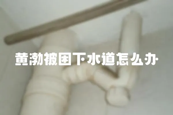 黃渤被困下水道怎么辦