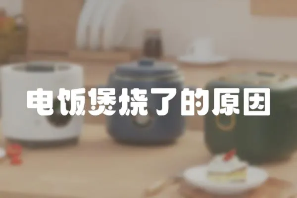 電飯煲燒了的原因