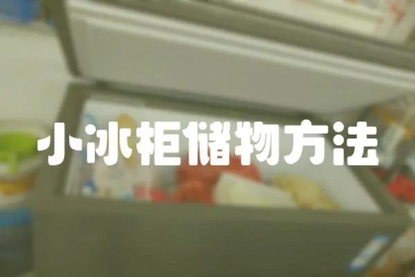 小冰柜儲物方法