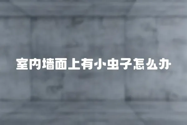 室內(nèi)墻面上有小蟲子怎么辦