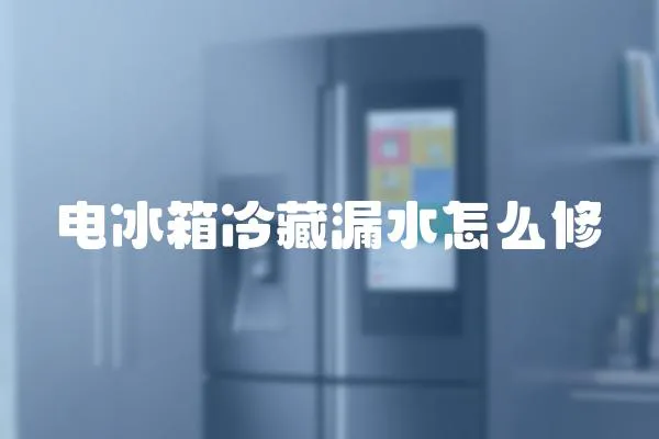 電冰箱冷藏漏水怎么修
