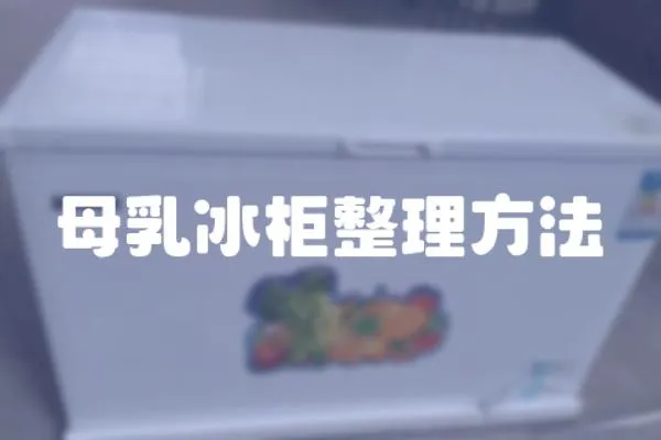 母乳冰柜整理方法