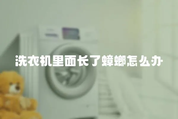 洗衣機里面長了蟑螂怎么辦