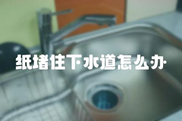 紙堵住下水道怎么辦