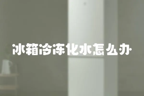 冰箱冷凍化水怎么辦