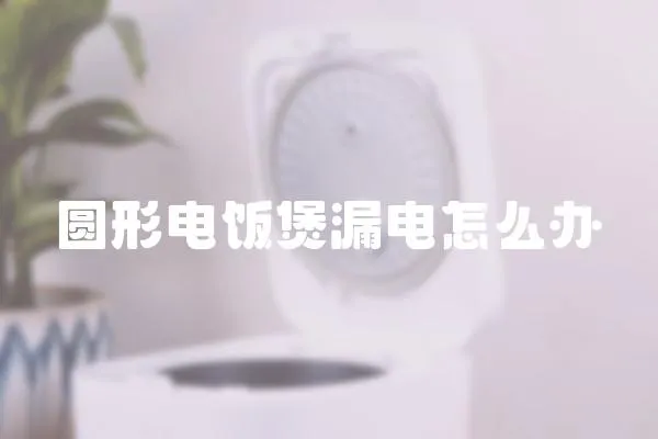 圓形電飯煲漏電怎么辦