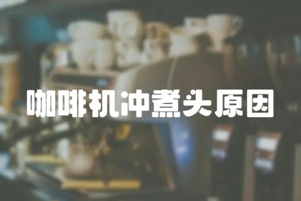 咖啡機沖煮頭原因
