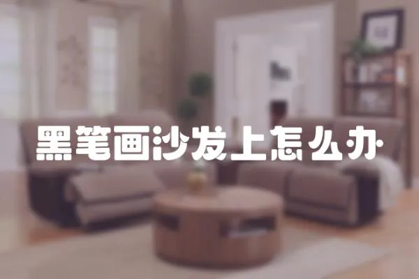 黑筆畫(huà)沙發(fā)上怎么辦