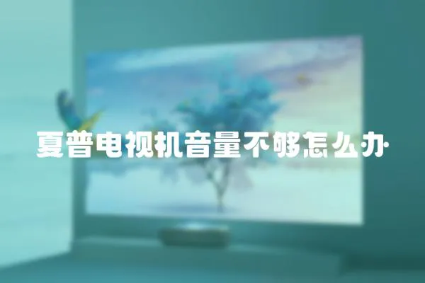夏普電視機音量不夠怎么辦