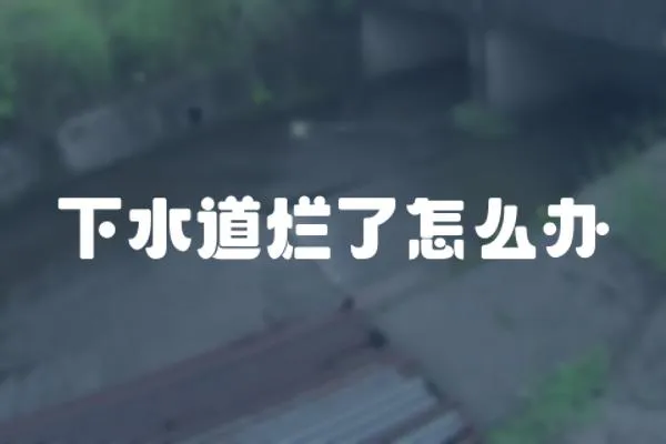 下水道爛了怎么辦