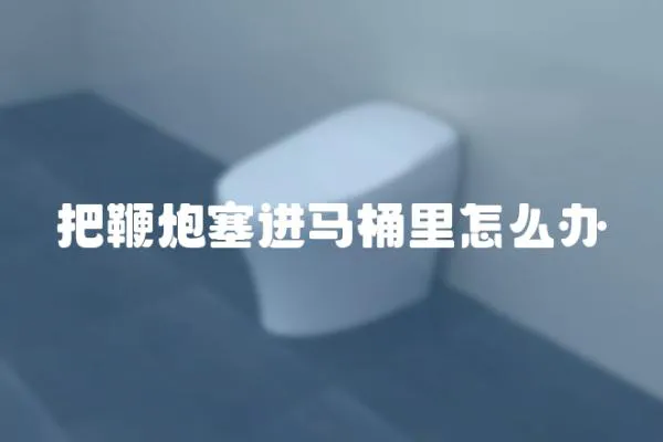 把鞭炮塞進馬桶里怎么辦