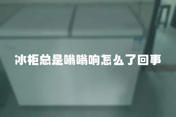 冰柜總是嗡嗡響怎么了回事