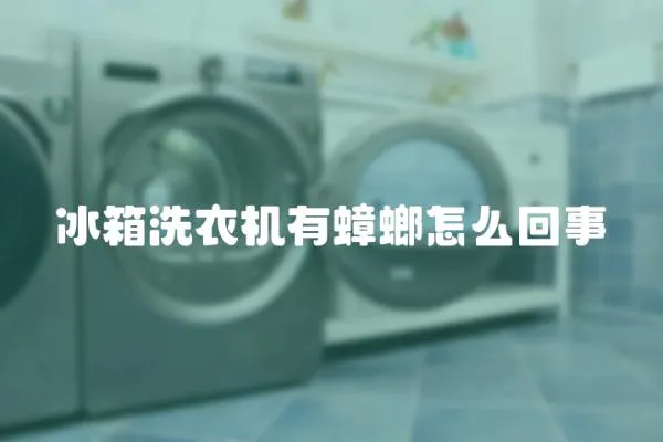 冰箱洗衣機有蟑螂怎么回事