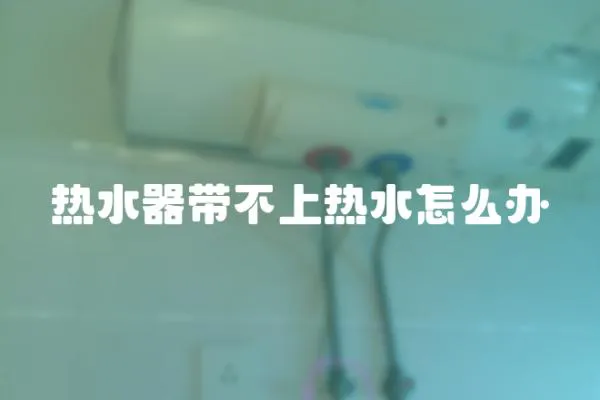 熱水器帶不上熱水怎么辦