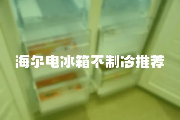 海爾電冰箱不制冷推薦